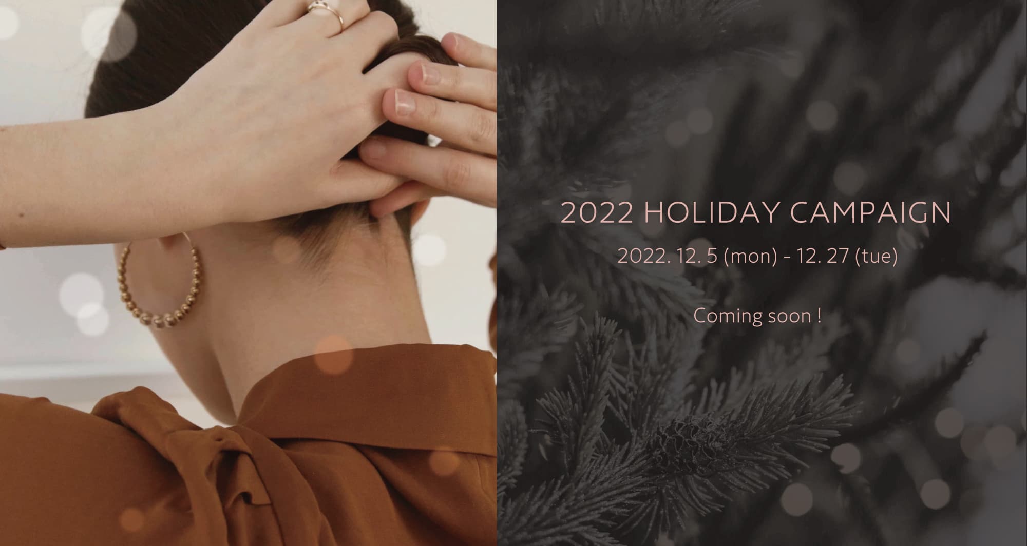 2022 HOLIDAY CAMPAIGN